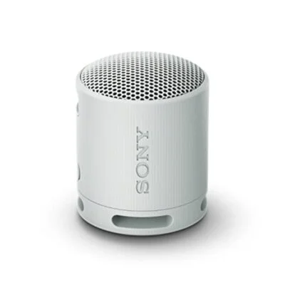 Sony SRS XB100